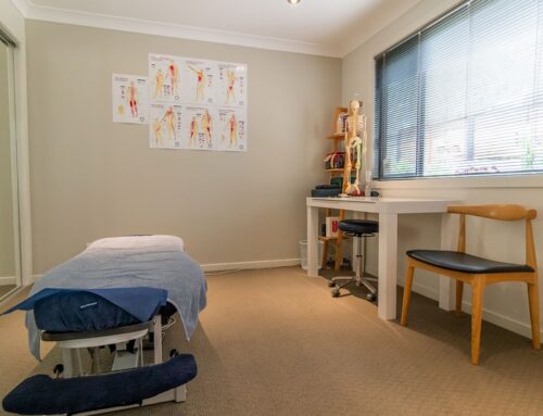 Pop-Up Clinic in Melbourne: Experience the Benefits of Finch Therapy