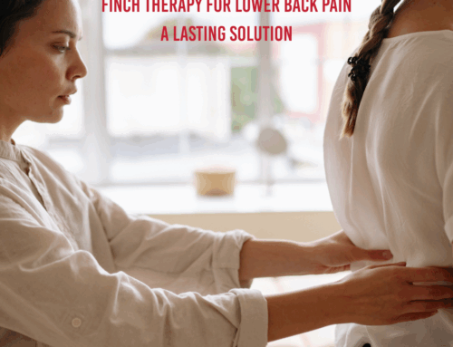 Finch Therapy for Lower Back Pain – A Lasting Solution